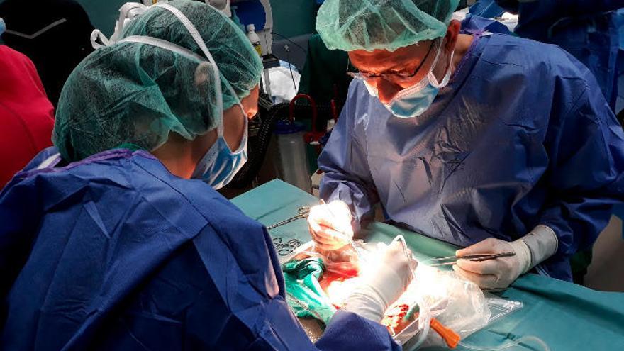 Cirujanos del Hospital Universitario de Canarias (HUC) durante el primer trasplante renal de paciente vivo.