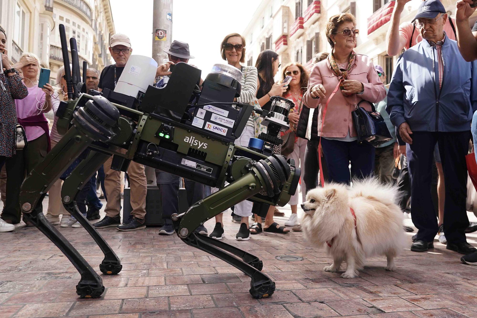 Demostración de los perros robot que se probarán para patrullar en Málaga.