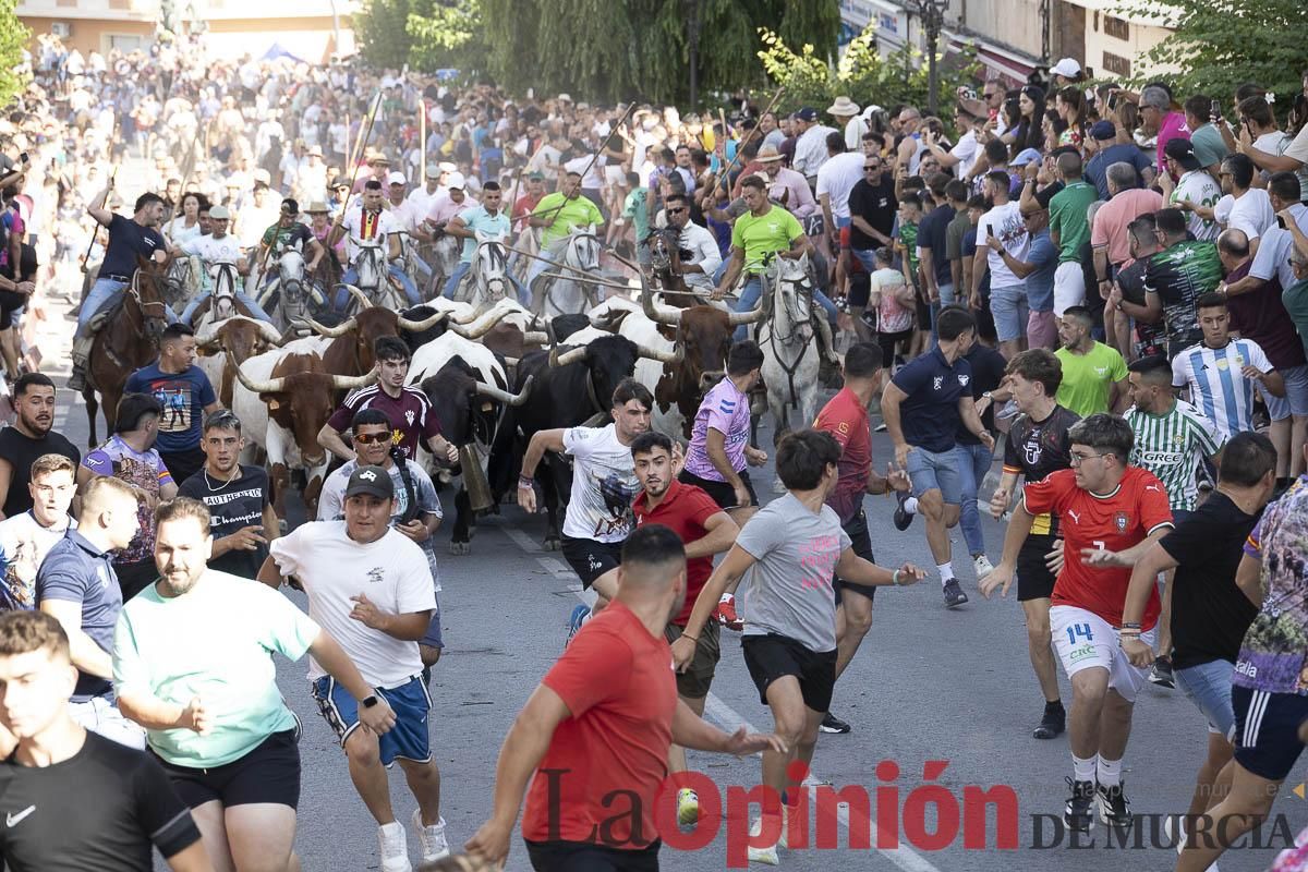 El segundo encierro de las Fiestas de Moratalla se salda con un herido