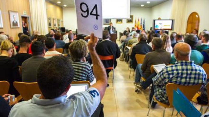 El TSJB rechaza reducir el precio que pagó Matutes en la subasta a mano alzada de hamacas en Ibiza