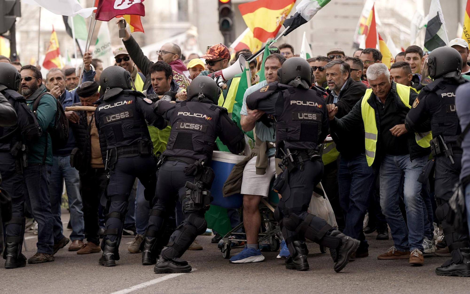 Manifestación de agricultores en Madrid, en imágenes