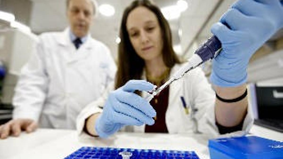 Investigadores alicantinos identificaron una mutación genética relacionada con la hidrocefalia