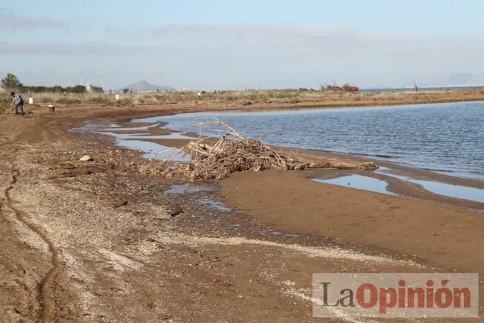 SOS Mar Menor retira dos toneladas de basura