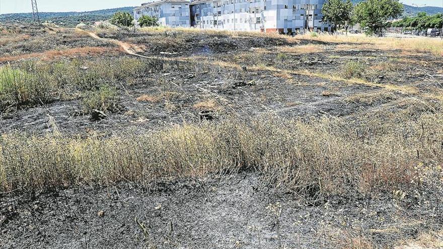 Medio Ambiente estudia comprar un dron para prevenir incendios en Plasencia