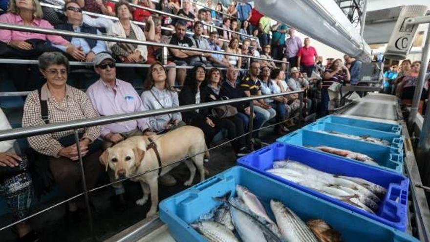 A la izquierda, el grupo en un momento de la subasta de pescado en la lonja de La Vila. A la derecha, comprobando cómo son las redes.