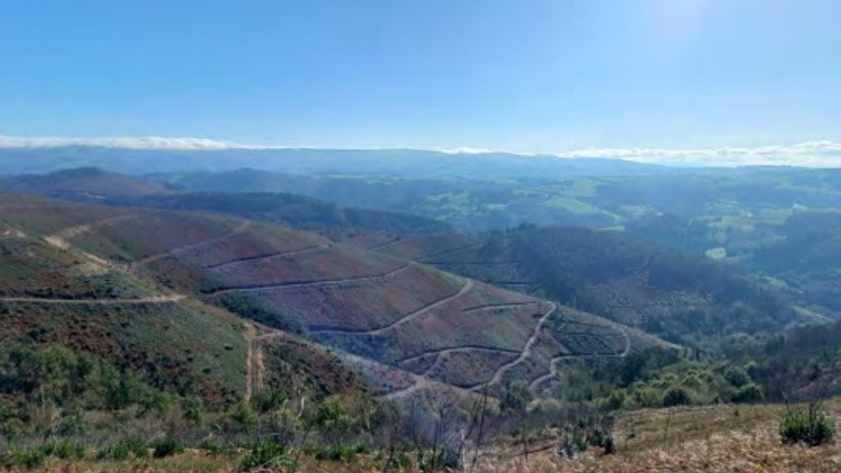 Monte Cabada, Tineo.