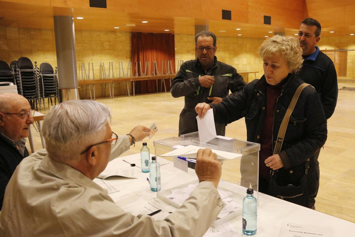Una agricultora votant a les eleccions agràries a Alcarràs, al Segrià