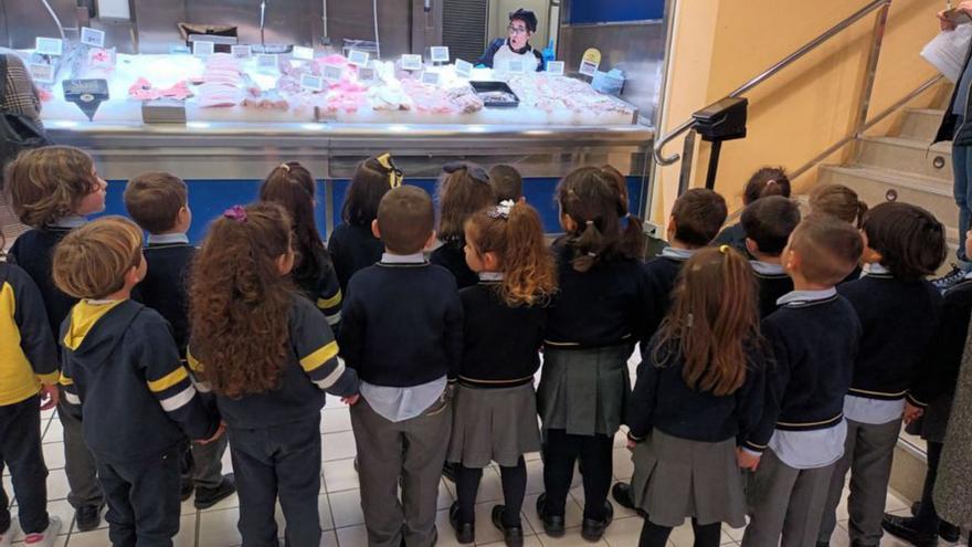 Un grupo de niños visita una pescadería. | Cedida