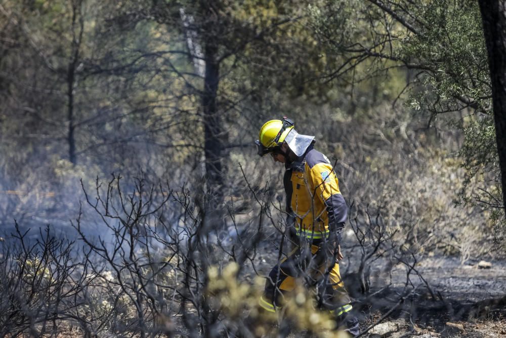 Incendio en el bosque de Bellver