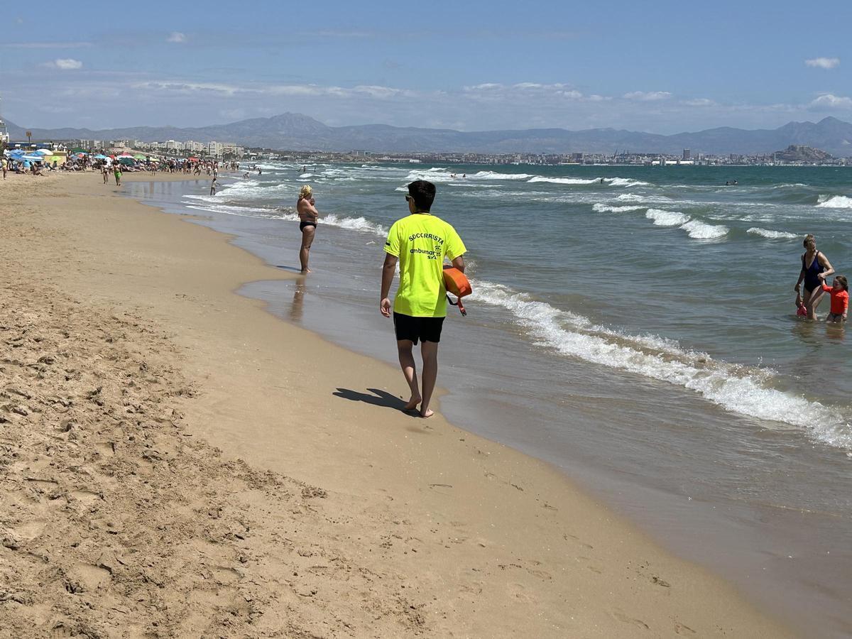 Un socorrista, este fin de semana en la playa de Arenales de Elche