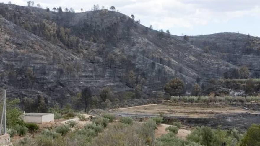 &quot;Un fuego así en el Macizo del Caroig  sería una  gran catástrofe&quot;