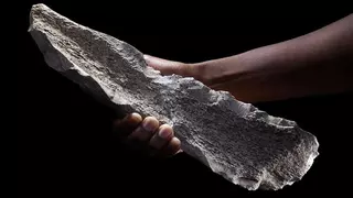 Hallada la "caja de herramientas" más antigua del mundo: 27 hachas y cuchillos tallados en hueso de 1,5 millones de años