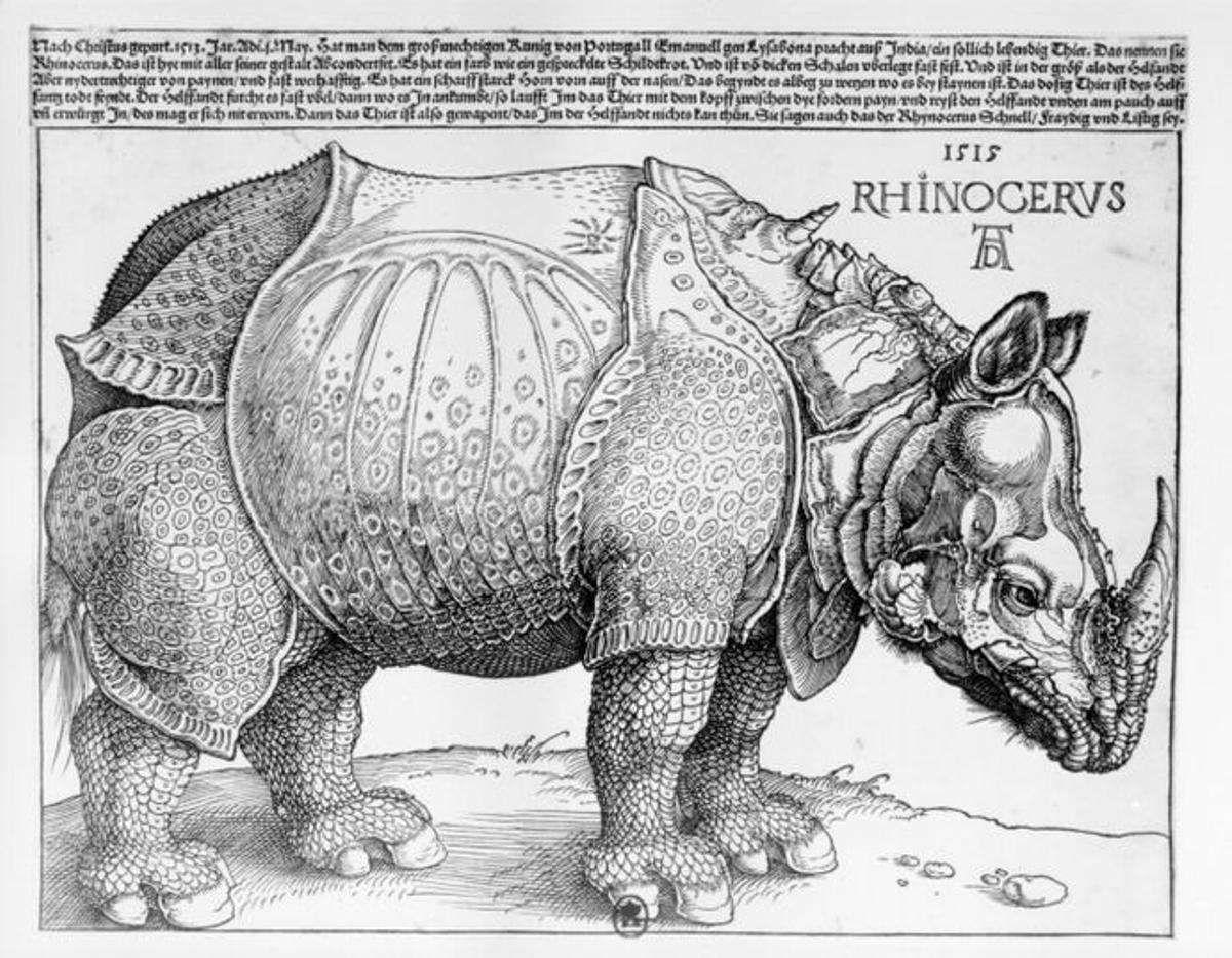 El grabado de un rinoceronte de Durero, de 1515.