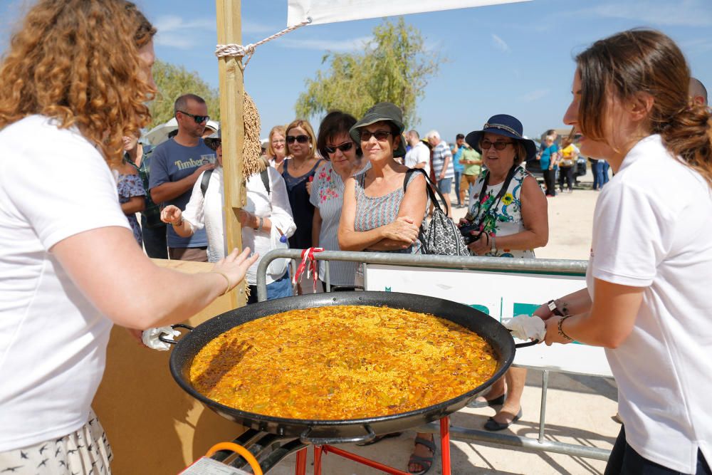 Siega y 'perxa' en l´Albufera