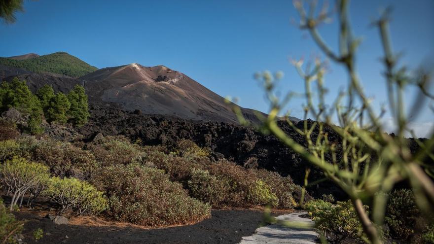 Los niños recibirán formación sobre erupciones y terremotos
