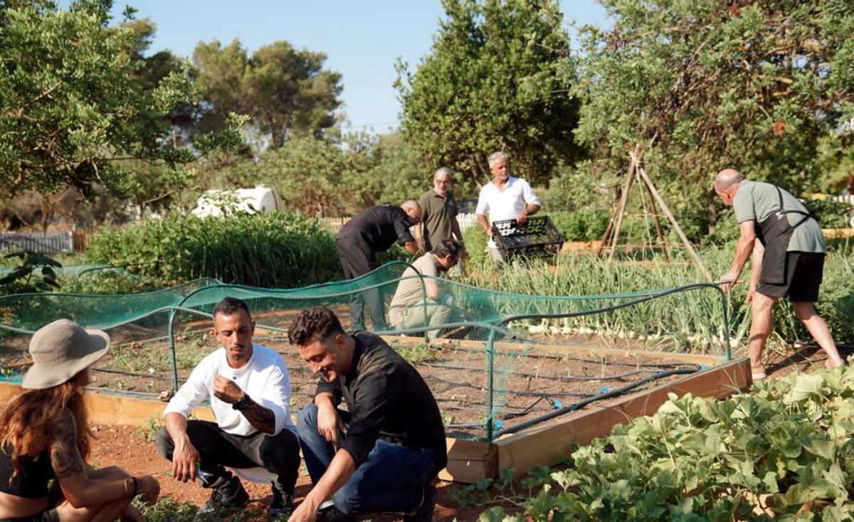 Los chefs pisan la tierra para conocer de cerca los productos de temporada