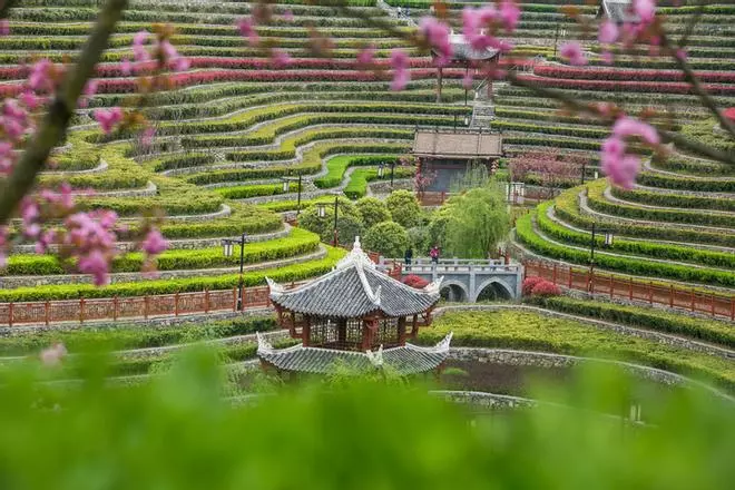 Un mar de flores: el secreto mejor guardado de China