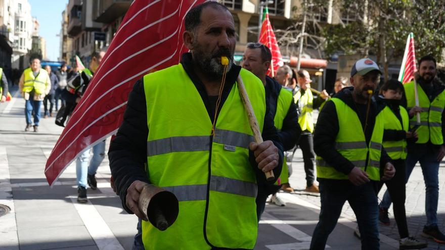 Lonja de Zamora del 12 de marzo: Segunda semana sin cotizaciones