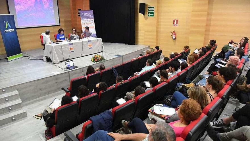 Ecos do Sur celebra las jornadas de interculturalidad en Meicende