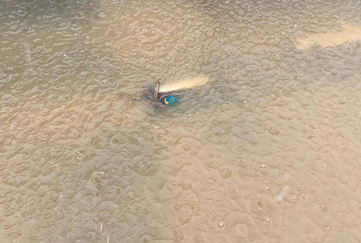 Las lluvias colapsan el alcantarillado de Benetússer.