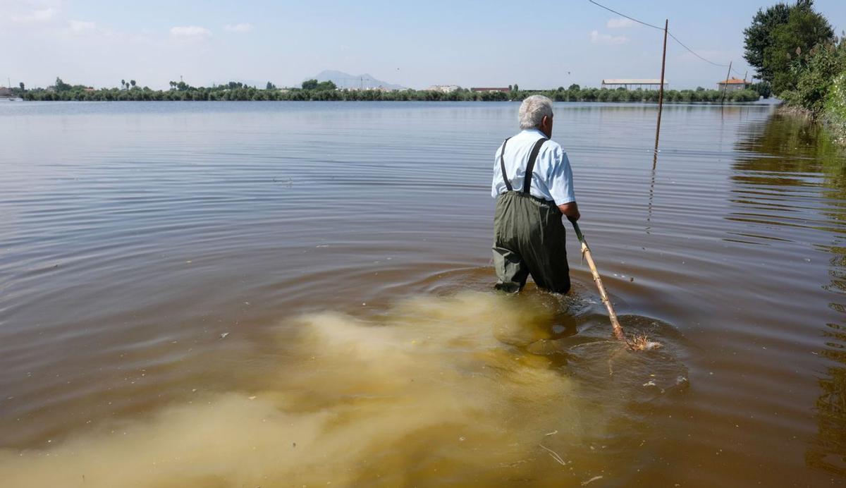 Algunos bancales estuvieron cubiertos por el agua más de sesenta días tras la DANA de 2019. | ÁXELÁLVAREZ