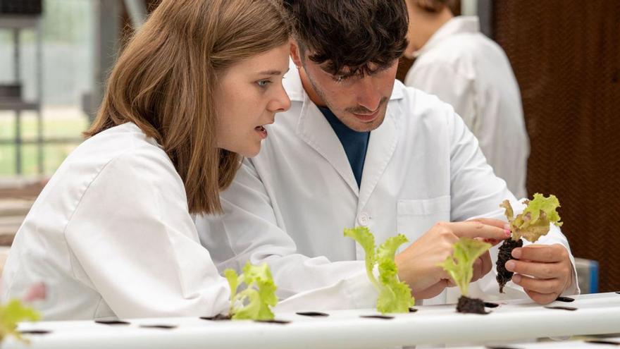 Ciencia y Tecnología de los Alimentos estudia desde las materias primas a la venta. |  Duvi