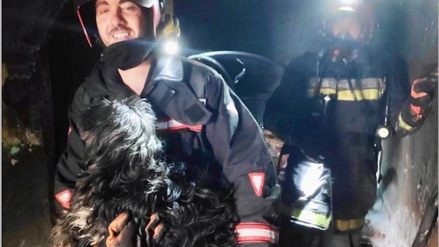 Los bomberos rescatan con vida a un perro en el incendio de Onda