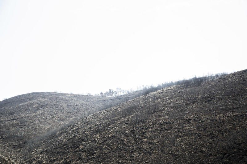 El paraje de El Surar, arrasado por el incendio