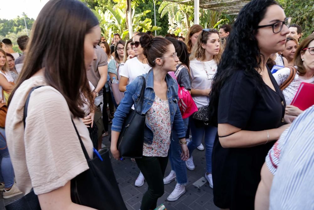 Oposiciones a Educación Primaria en la Región