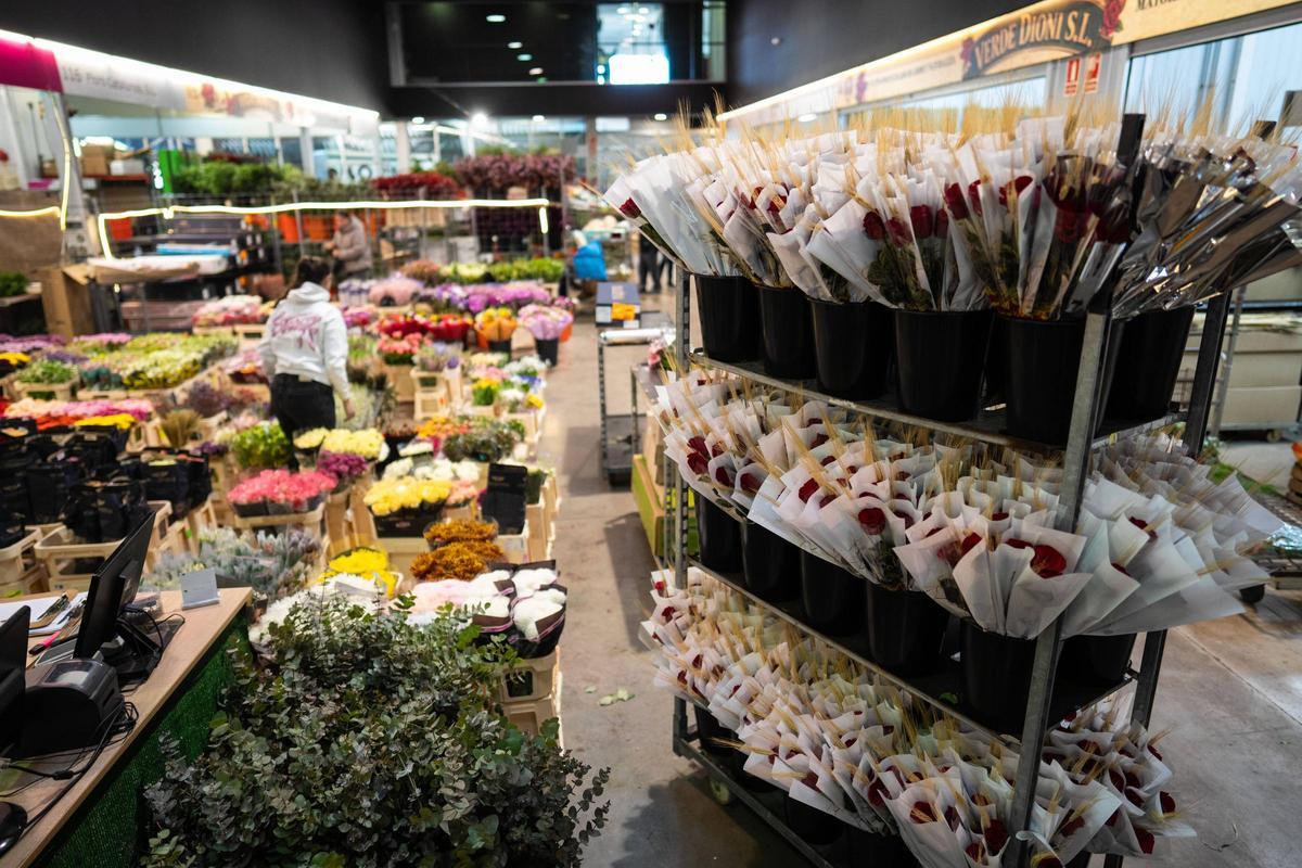 Mercabarna-flor se prepara para un Sant Jordi en el que se venderán 7 millones de rosas