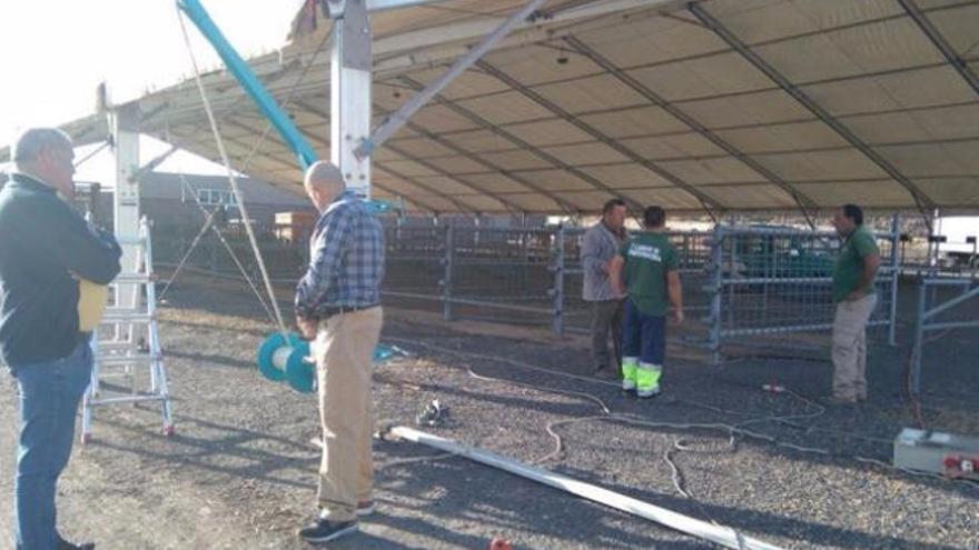 Antigua cede al Cabildo operarios para la feria Feaga