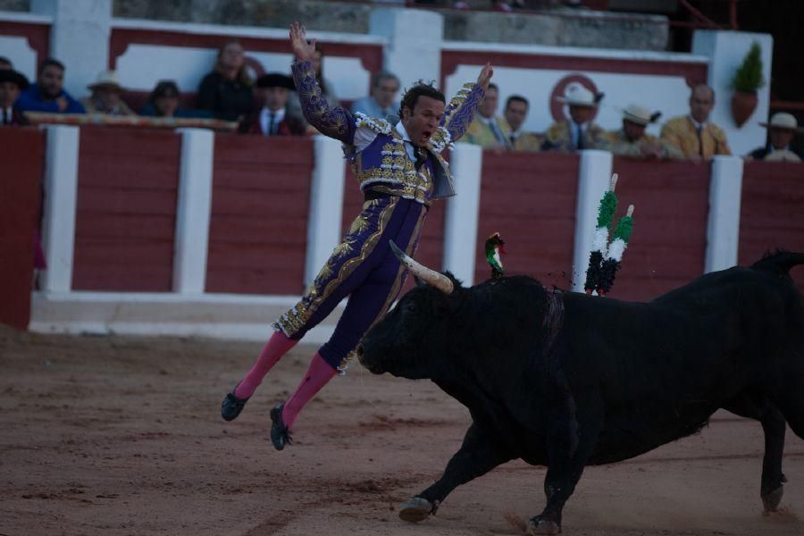 Fiestas San Pedro 2017: Feria Taurina de San Pedro