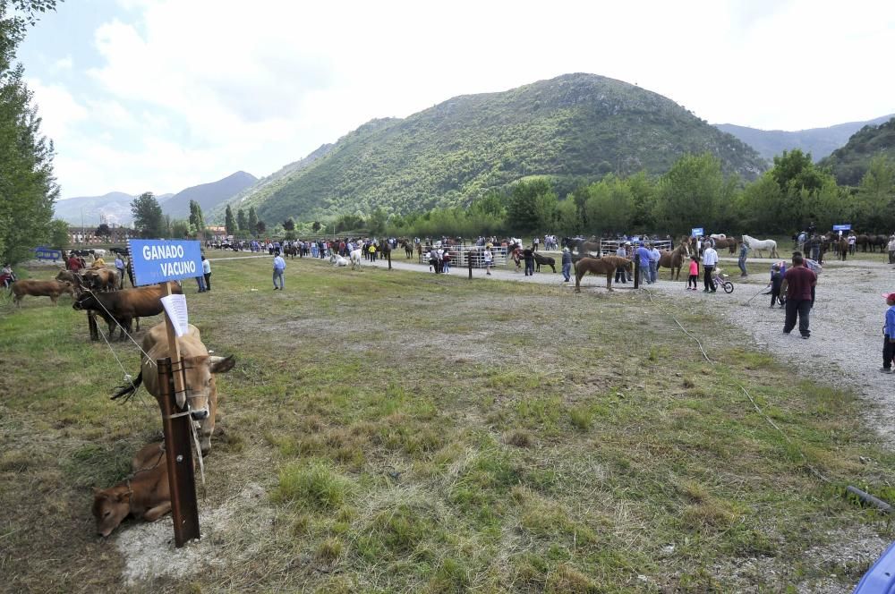 Feria de La Ascensión en Olloniego