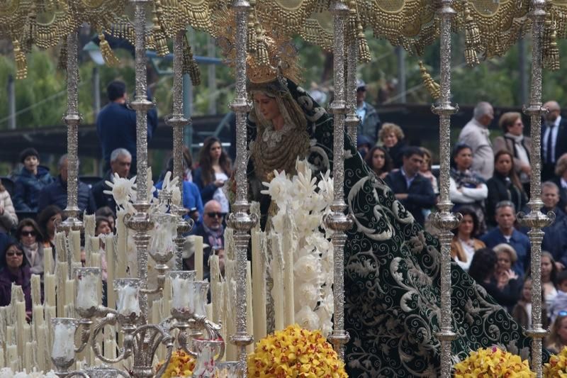 Domingo de Ramos de 2016 | Pollinica