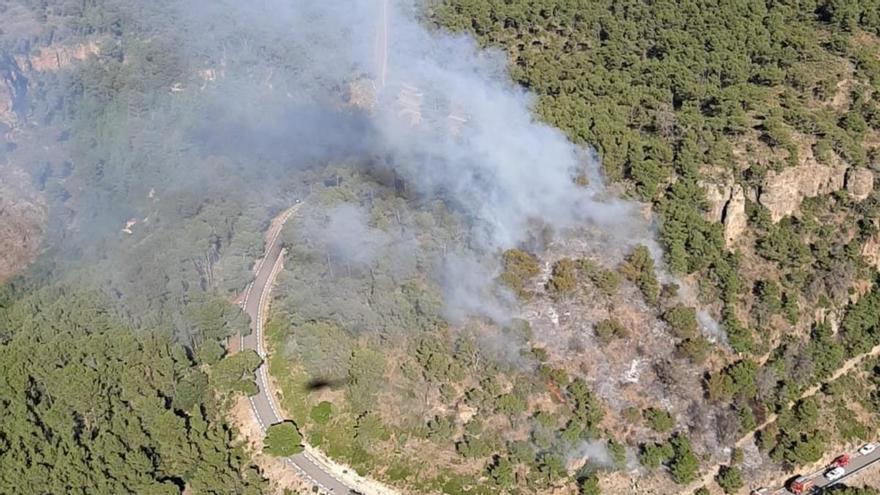 Controlado un incendio forestal en el municipio valenciano de Rafelguaraf