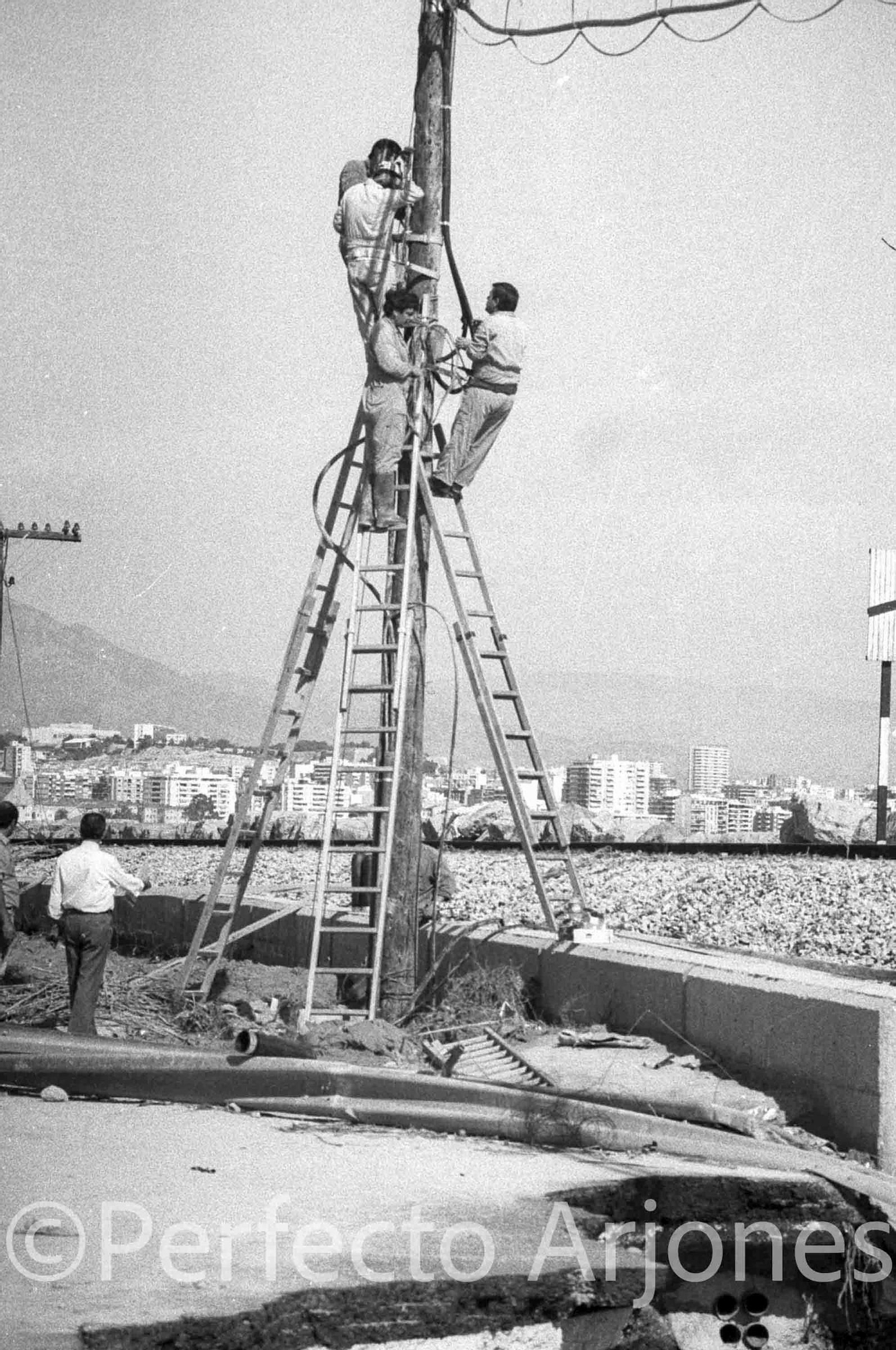 Riada de 1982: El día que Alicante se partió en dos
