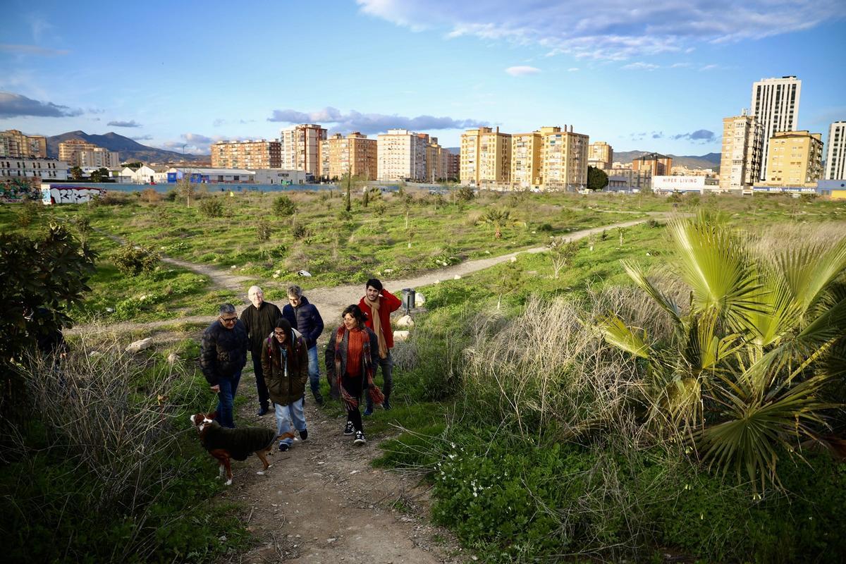 Miembros de la plataforma ciudadana Bosque Urbano Málaga, esta semana en la parcela de Repsol, con algunos de los árboles plantados, al fondo.