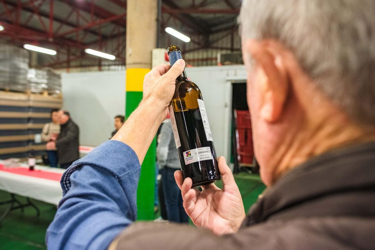 Un hombre sostiene una botella de vino en el interior de Bodegas Insulares.
