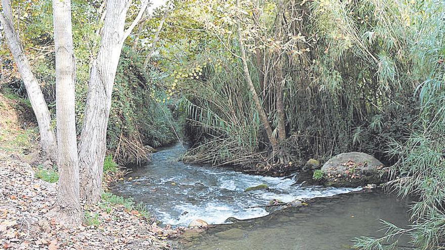 El Ayuntamiento pide a la Confederación que limpie el cauce del río Palancia.
