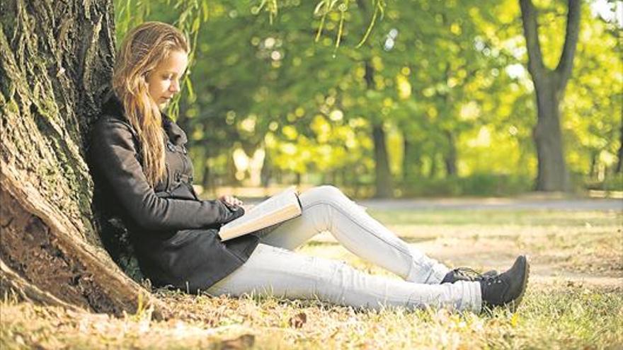 Cultura reclama el mismo tiempo para la lectura que para la gimnasia en la escuela