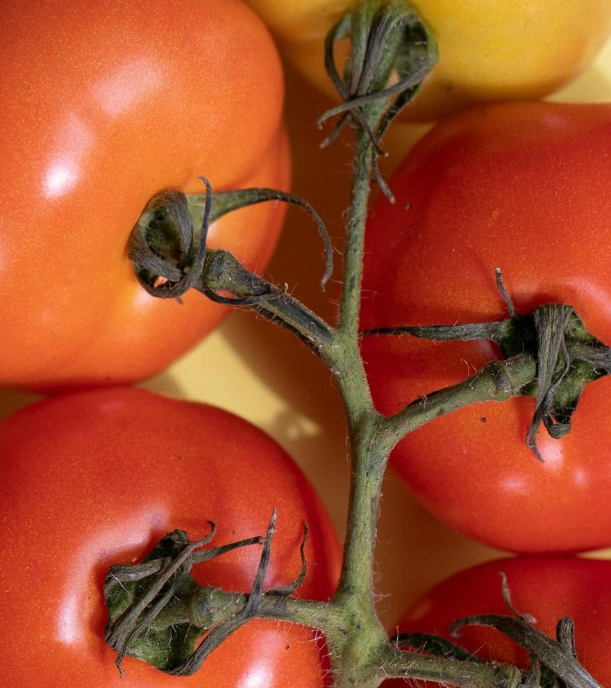 Receta viral | Prueba a hacer este carpaccio de tomate &quot;de rechupete&quot;