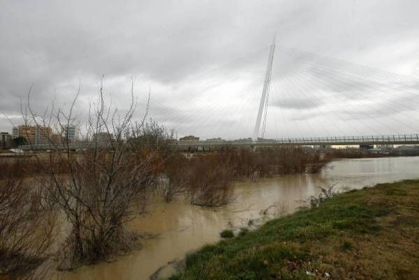 Fotogalería: Crecida en el río Ebro