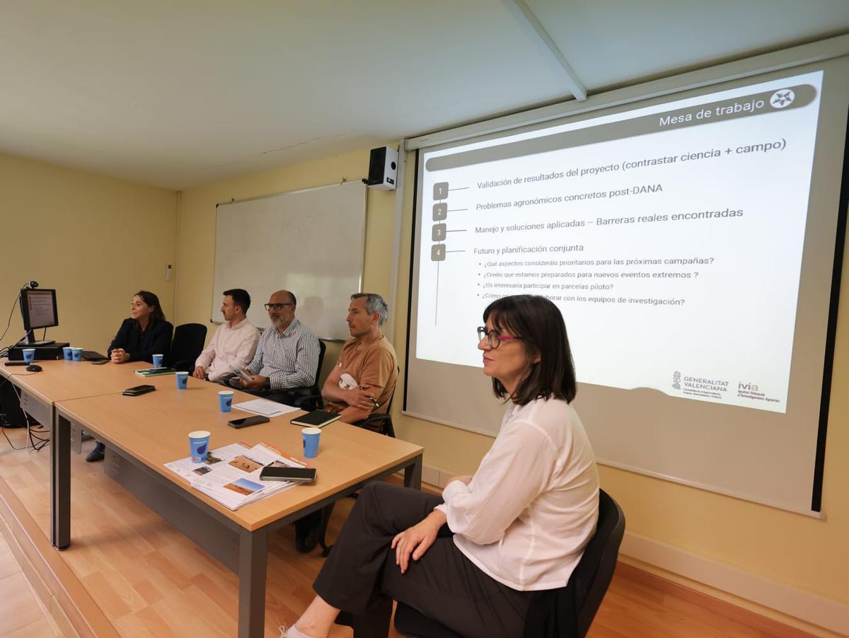 Técnicos del Instituto Valenciano de Investigaciones Agrarias (IVIA) durante la jornada.