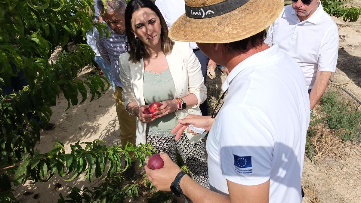 La consejera Sara Rubira visitando la finca donde trabaja el Imida en el desarrollo de las nuevas variedades de fruta de hueso.