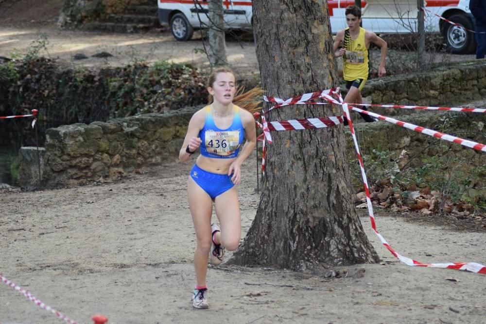 Cross Fuentes del Marqués (IV)