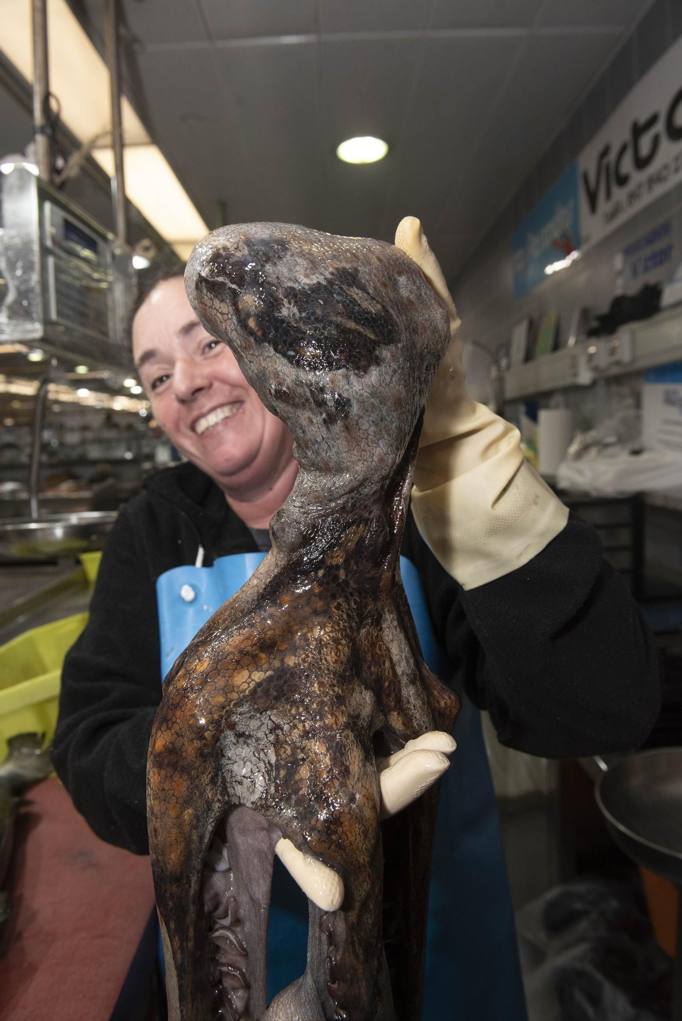 El pulpo gallego vuelve a los mercados de A Coruña tras tres meses de veda