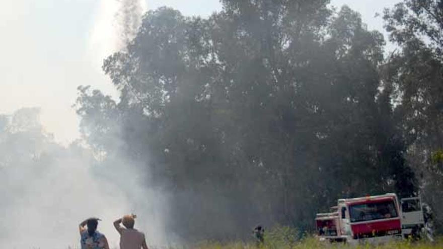 Dos incendios forestales en menos de dos horas afectan a la zona arbolada del monte de San Cibrán, en Tomeza