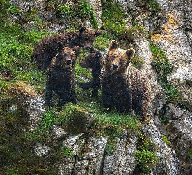 Somiedo, el concejo que retrata a los osos