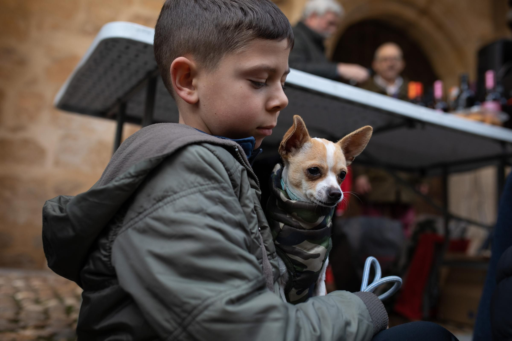 Los animales reciben la bendición por San Antón en Zamora