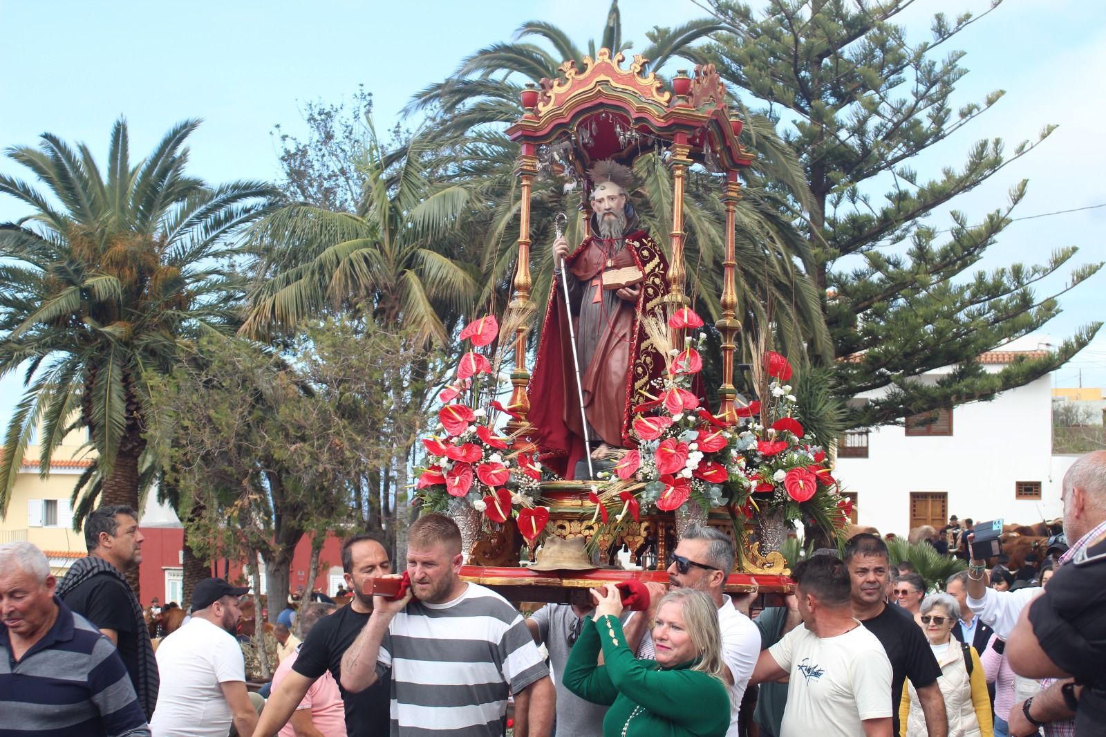 Romería de San Antonio Abad, en La Matanza